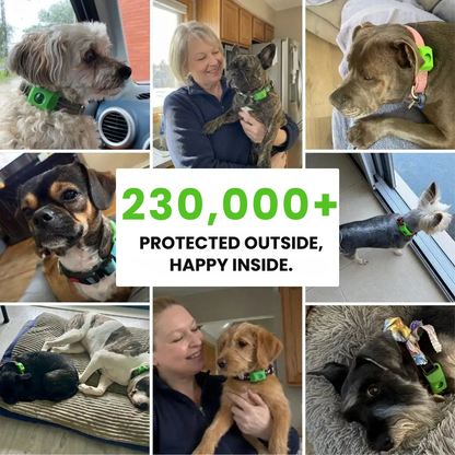 ByeFlea™ Pro 1-Year Natural Tick Tag