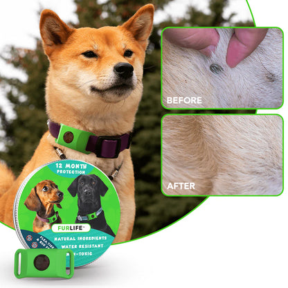 ByeFlea™ Pro 1-Year Natural Tick Tag