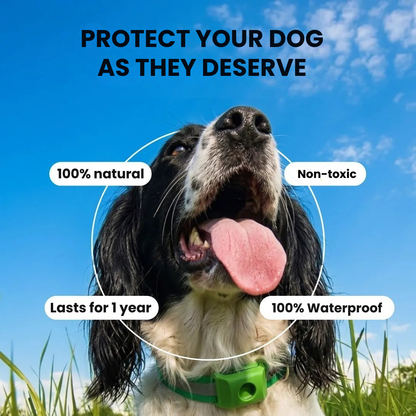 ByeFlea™ Pro 1-Year Natural Tick Tag